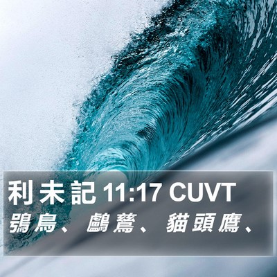 利 未 記 11:17 CUVT Bible Verse Image