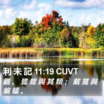 利 未 記 11:19 CUVT Bible Verse Image