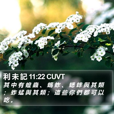 利 未 記 11:22 CUVT Bible Verse Image
