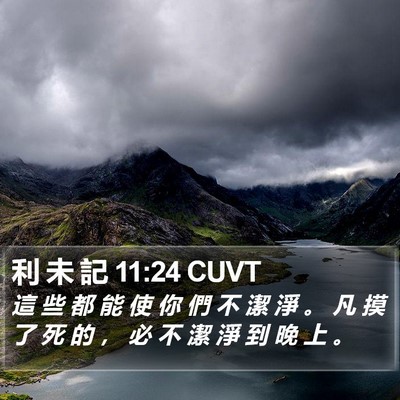 利 未 記 11:24 CUVT Bible Verse Image
