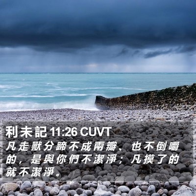 利 未 記 11:26 CUVT Bible Verse Image