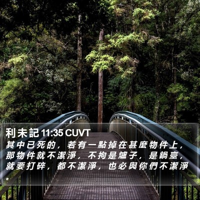 利 未 記 11:35 CUVT Bible Verse Image