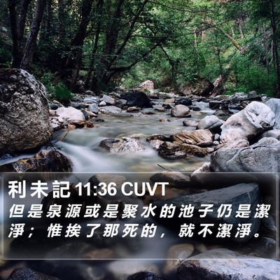 利 未 記 11:36 CUVT Bible Verse Image