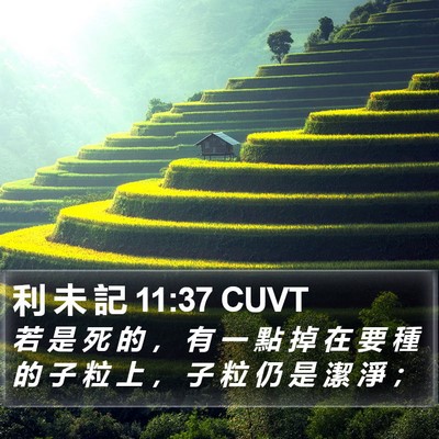 利 未 記 11:37 CUVT Bible Verse Image