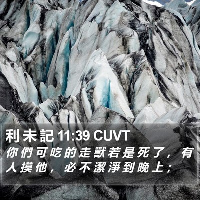 利 未 記 11:39 CUVT Bible Verse Image