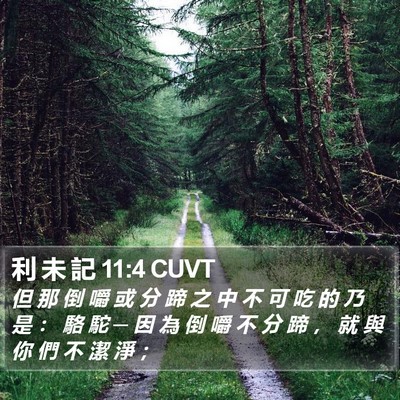 利 未 記 11:4 CUVT Bible Verse Image