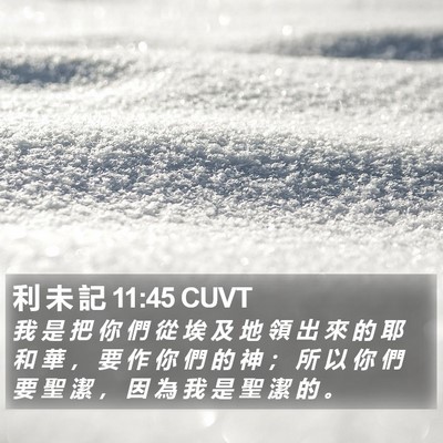 利 未 記 11:45 CUVT Bible Verse Image