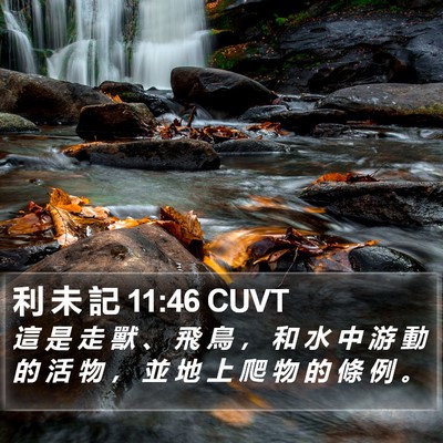 利 未 記 11:46 CUVT Bible Verse Image