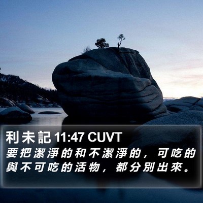 利 未 記 11:47 CUVT Bible Verse Image