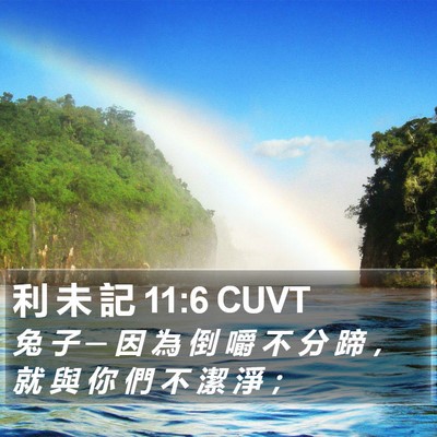 利 未 記 11:6 CUVT Bible Verse Image