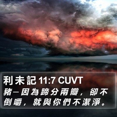 利 未 記 11:7 CUVT Bible Verse Image