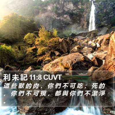 利 未 記 11:8 CUVT Bible Verse Image