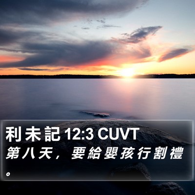 利 未 記 12:3 CUVT Bible Verse Image