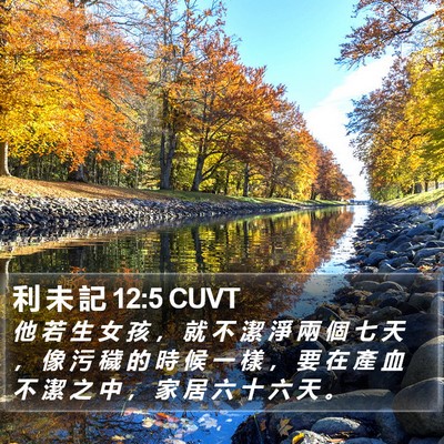 利 未 記 12:5 CUVT Bible Verse Image