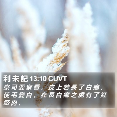 利 未 記 13:10 CUVT Bible Verse Image