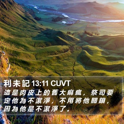 利 未 記 13:11 CUVT Bible Verse Image