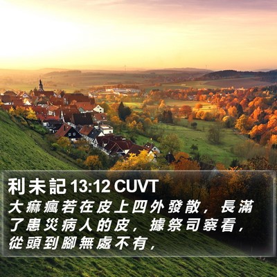 利 未 記 13:12 CUVT Bible Verse Image