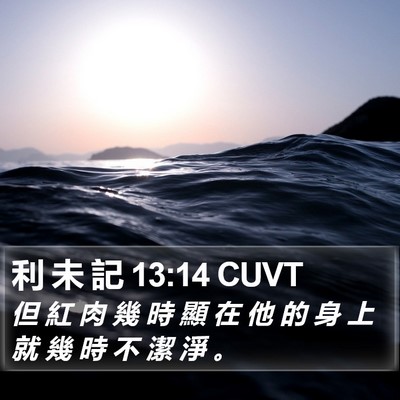 利 未 記 13:14 CUVT Bible Verse Image