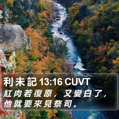 利 未 記 13:16 CUVT Bible Verse Image