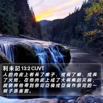 利 未 記 13:2 CUVT Bible Verse Image