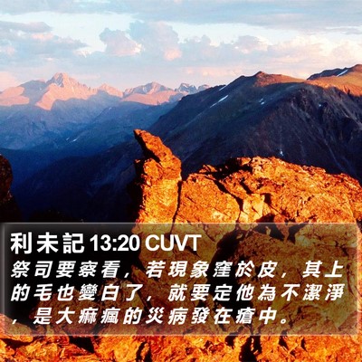 利 未 記 13:20 CUVT Bible Verse Image