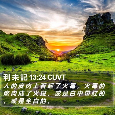 利 未 記 13:24 CUVT Bible Verse Image
