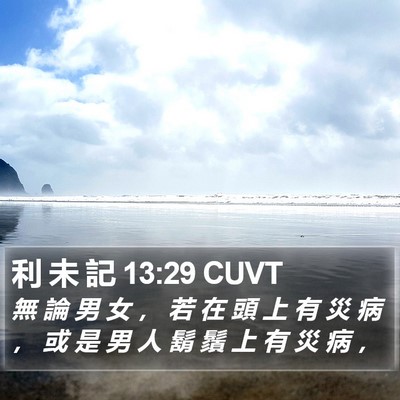 利 未 記 13:29 CUVT Bible Verse Image