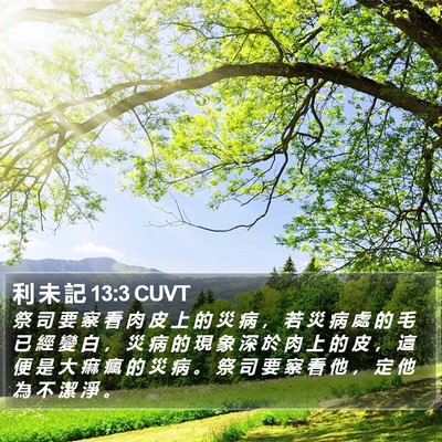 利 未 記 13:3 CUVT Bible Verse Image