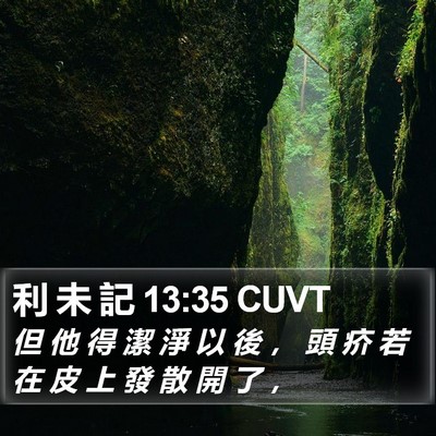 利 未 記 13:35 CUVT Bible Verse Image