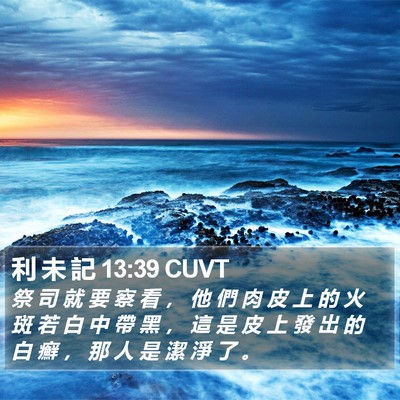 利 未 記 13:39 CUVT Bible Verse Image
