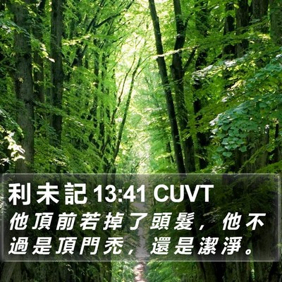 利 未 記 13:41 CUVT Bible Verse Image
