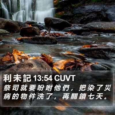 利 未 記 13:54 CUVT Bible Verse Image