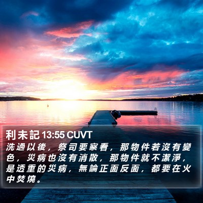 利 未 記 13:55 CUVT Bible Verse Image