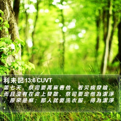 利 未 記 13:6 CUVT Bible Verse Image