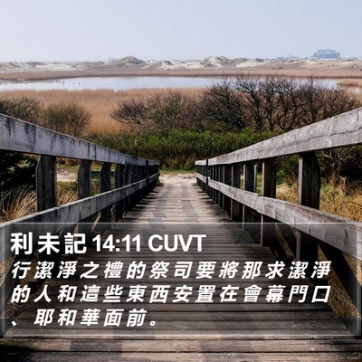 利 未 記 14:11 CUVT Bible Verse Image