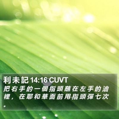 利 未 記 14:16 CUVT Bible Verse Image