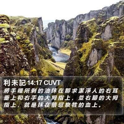 利 未 記 14:17 CUVT Bible Verse Image