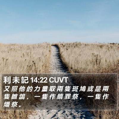 利 未 記 14:22 CUVT Bible Verse Image