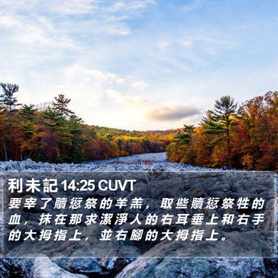 利 未 記 14:25 CUVT Bible Verse Image
