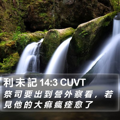 利 未 記 14:3 CUVT Bible Verse Image