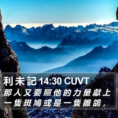 利 未 記 14:30 CUVT Bible Verse Image