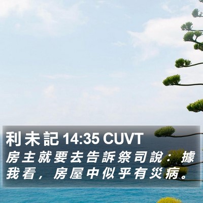 利 未 記 14:35 CUVT Bible Verse Image