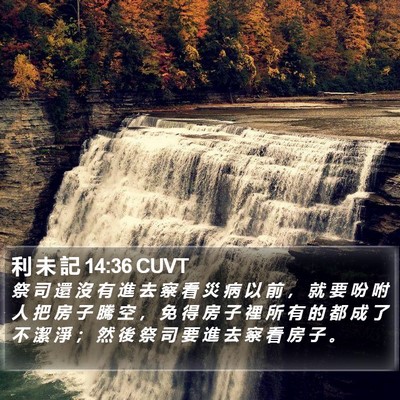 利 未 記 14:36 CUVT Bible Verse Image