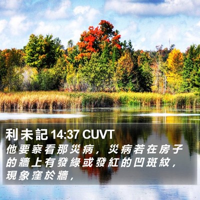 利 未 記 14:37 CUVT Bible Verse Image