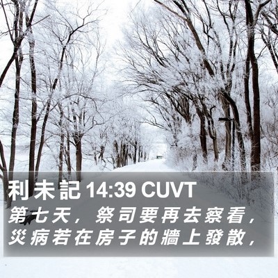 利 未 記 14:39 CUVT Bible Verse Image