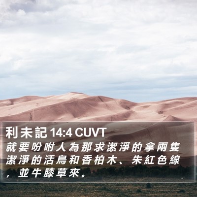 利 未 記 14:4 CUVT Bible Verse Image