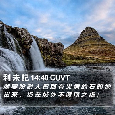 利 未 記 14:40 CUVT Bible Verse Image