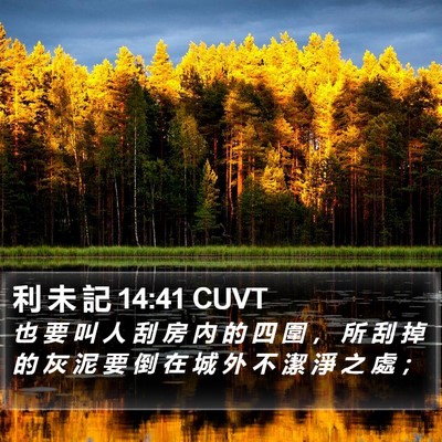 利 未 記 14:41 CUVT Bible Verse Image