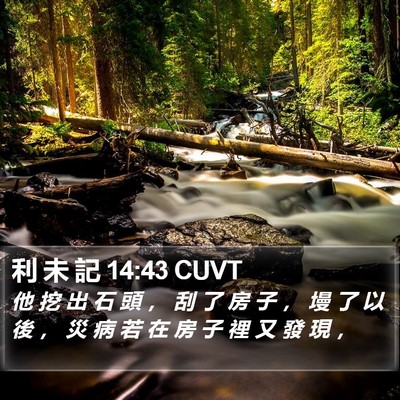 利 未 記 14:43 CUVT Bible Verse Image