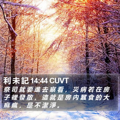 利 未 記 14:44 CUVT Bible Verse Image